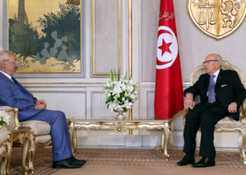Tunisie : B&eacute;ji Ca&iuml;d Essebsi et Rached Ghannouchi se concertent