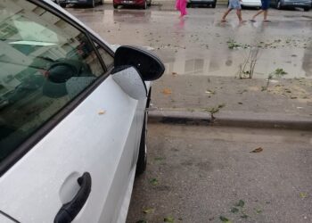 Les dommages collatéraux de la grêle