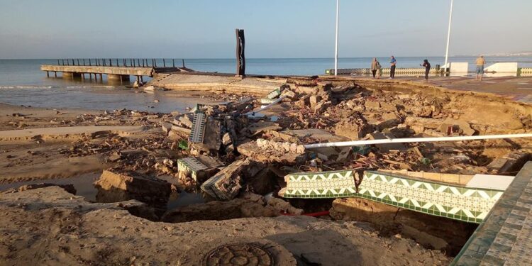 Nabeul : Des milliers d'animaux périssent dans les inondations