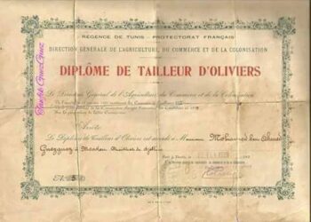 Quand la Régence de Tunis décernait des diplômes de tailleurs d'oliviers !