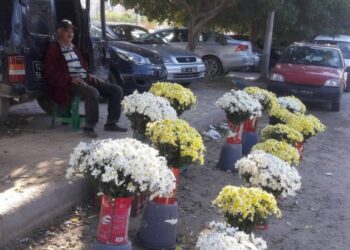Veille de Toussaint au cimetière du Borgel