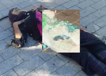 Attentat &agrave; Tunis : 9 bless&eacute;s, dont 8 s&eacute;curitaires