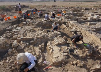 Une campagne de fouille tuniso-anglaise au site arch&eacute;ologique de Bulla Regia