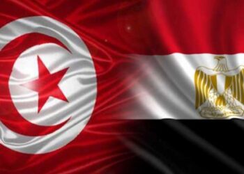 Egypte : Pas de durcissement des formalit&eacute;s de visa pour les Tunisiens