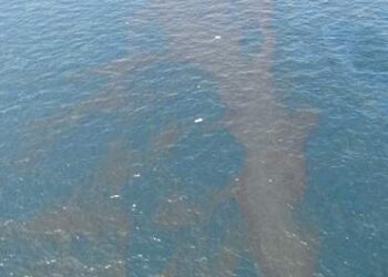 Bizerte : Fuite de p&eacute;trole brut en mer de Zarzouna