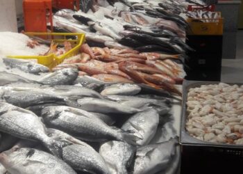 Pour tous les budgets : Que diriez-vous d'une virée "poissons" à La Goulette ?