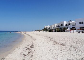 Sousse : Un plongeur alerte contre des "corps &eacute;tranges"