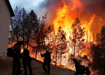 La Californie ravagée par l’incendie le plus meurtrier de son histoire, 31 morts