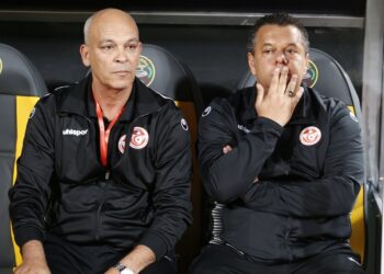 La FTF met fin &agrave; la mission du duo Okbi-Kenzari, le Belge Marc Wilmots pressenti