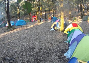 R&eacute;ouverture du centre de camping d'A&iuml;n Soltane