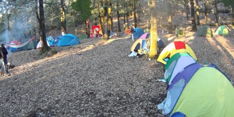 R&eacute;ouverture du centre de camping d'A&iuml;n Soltane