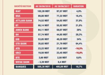 Tunisie : Le b&eacute;n&eacute;fice net des banques cot&eacute;es, en hausse de 18,7%