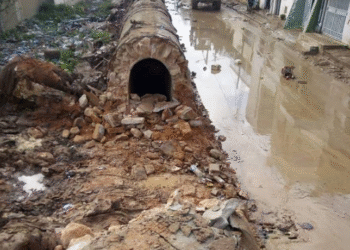 L'ordre des architectes se d&eacute;sole d'une "h&eacute;morragie" de l'h&eacute;ritage tunisien