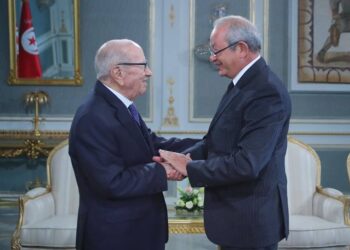 Pourquoi Beji Caid Essebsi a-t-il re&ccedil;u un milliardaire &eacute;gyptien ?