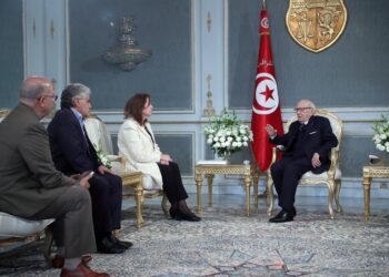 Eventuel "appareil secret" d&rsquo;Ennahdha : Le comit&eacute; de D&eacute;fense de Belaid et Brahmi re&ccedil;u par Caid Essebsi