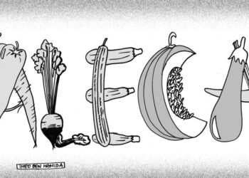 L’ALECA, ces accords qui fâchent !