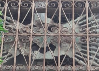 Loin des regards : Une trace allemande dans la médina de Tunis