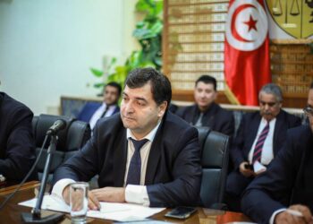 La Tunisie ambitionne d'attirer 1 million de touristes fran&ccedil;ais en 2019