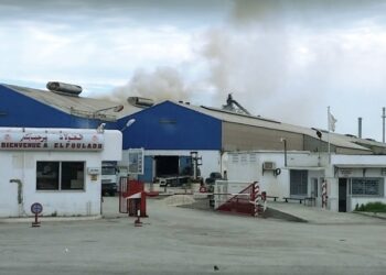 Avec un d&eacute;ficit abyssal : Comment sauver El Fouladh de l'effondrement ?