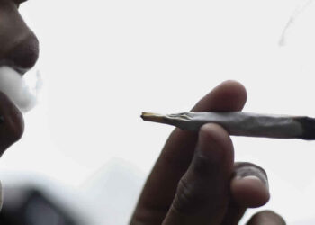 Entre 300 et 400 mille jeunes tunisiens ont consomm&eacute; de la drogue