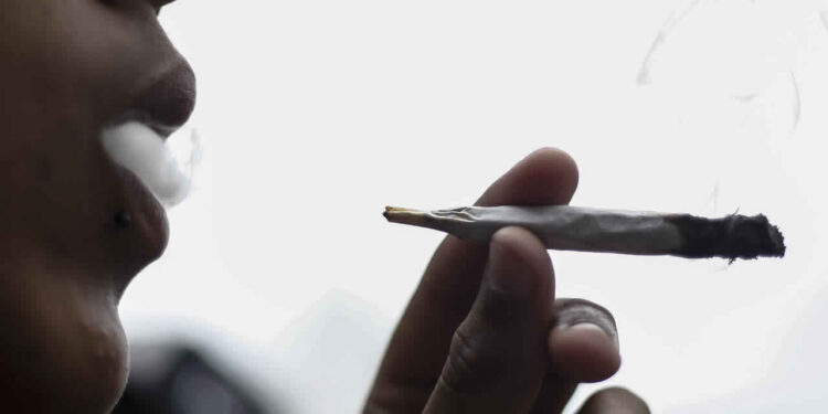 Entre 300 et 400 mille jeunes tunisiens ont consommé de la drogue