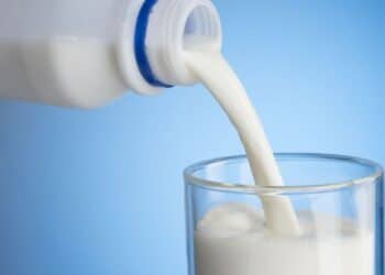 Tunisie : Le stock de lait couvre sept jours de production