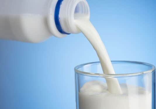 Tunisie : Le stock de lait couvre sept jours de production