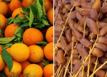 Pourquoi les dattes et les oranges tunisiennes tardent &agrave; percer en Russie