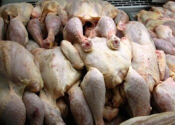 Une tonne de viande de poulet saisie &agrave; Nabeul