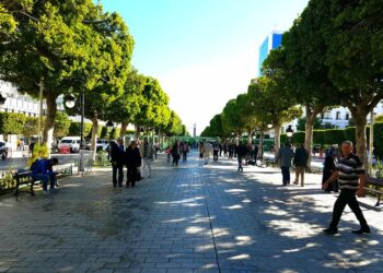 R&eacute;trospective : Les pires moments de la Tunisie en 2018