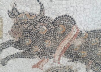 Quand j'ai croisé Picasso au musée du Bardo !