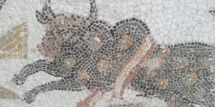 Quand j'ai croisé Picasso au musée du Bardo !