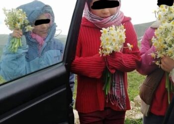 Ain Drahem : Malheureux, ces enfants vendent de la joie aux visiteurs !