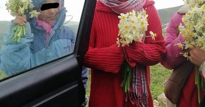 Ain Drahem : Malheureux, ces enfants vendent de la joie aux visiteurs !