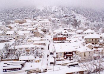 Tunisie : 40 cm de neige &agrave; Ain Drahem, Thala totalement isol&eacute;e