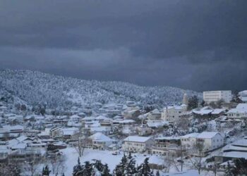 Vague de froid : Trois ministres charg&eacute;s par Chahed de se rendre dans les r&eacute;gions affect&eacute;es