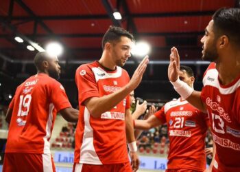 Handball : Cuisante d&eacute;faite de la Tunisie face &agrave; l'Egypte