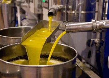 La Tunisie a export&eacute; 760 tonnes d&rsquo;huile d&rsquo;olive au Canada en seulement deux mois