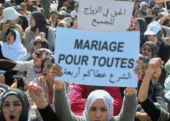 Devant l'ARP, des Tunisiennes vont protester en faveur de la polygamie !