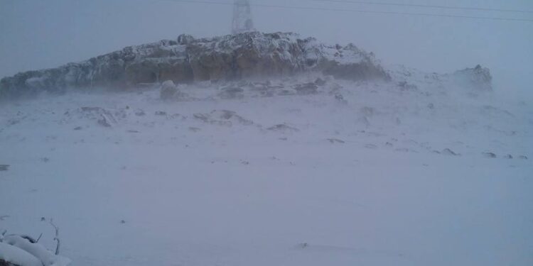 Le gouvernorat de Siliana paralysé par la neige