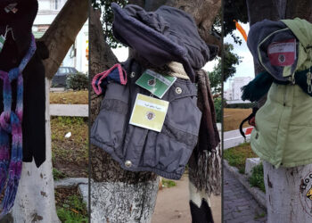 Tunisie : Des v&ecirc;tements chauds accroch&eacute;s aux arbres pour les d&eacute;munis !