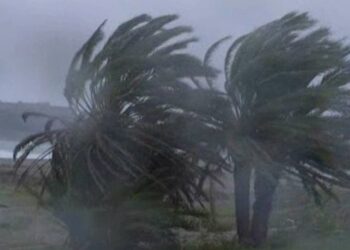 M&eacute;t&eacute;o : Rafales de vent atteignant les 100 Km/h