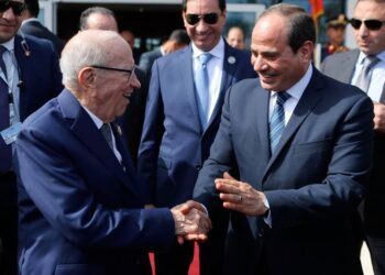 Sommet arabo-europ&eacute;en : Caid Essebsi et Al-Sissi en t&ecirc;te-&agrave;-t&ecirc;te