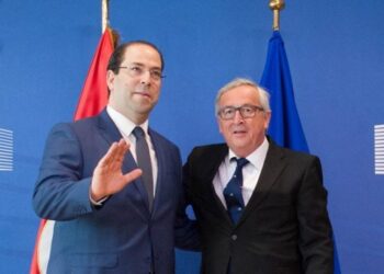 La Tunisie n&rsquo;adh&eacute;rera &agrave; l&rsquo;ALECA qu&rsquo;apr&egrave;s la mise &agrave; niveau du secteur agricole