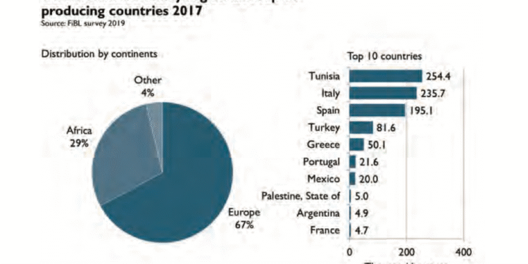 La Tunisie poss&egrave;de les plus larges superficies d&eacute;di&eacute;es &agrave; l'ol&eacute;iculture bio au monde