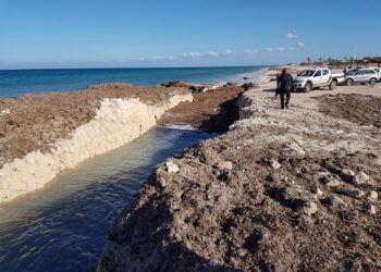 Djerba : 18 km du littoral et 45% des plages &eacute;rod&eacute;s