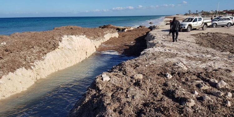 Djerba : 18 km du littoral et 45% des plages érodés