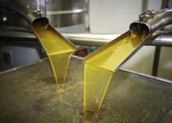 La saison s&rsquo;annonce mauvaise pour l&rsquo;huile d&rsquo;olive tunisienne