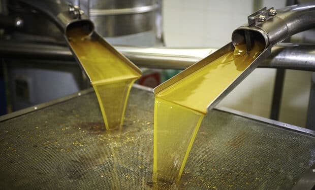 La saison s&rsquo;annonce mauvaise pour l&rsquo;huile d&rsquo;olive tunisienne