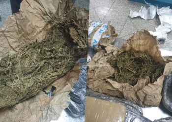 Saisie de 25 kg de Marijuana &agrave; Tunis-Carthage